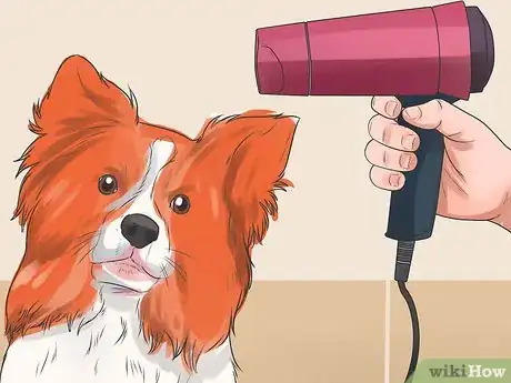Imagen titulada Stop Howling Dogs Step 9