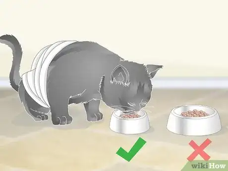 Imagen titulada Help a Vomiting Cat Step 6
