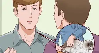 limpiar a tu gato si no puede hacerlo él mismo
