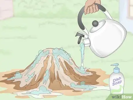 Imagen titulada Get Rid of an Ant Hill Step 4