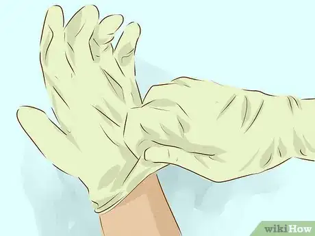Imagen titulada Administer a Rabies Vaccination Step 11