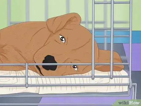 Imagen titulada Make Your Dog Stop Sleeping in Your Bed Step 5