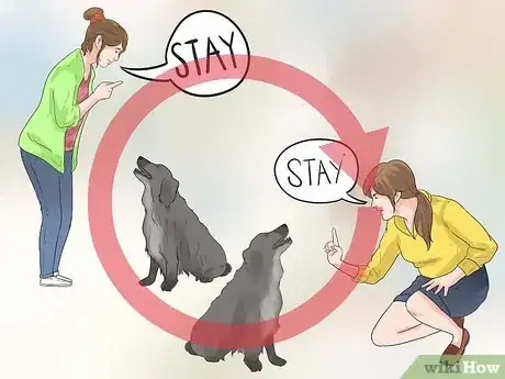 Imagen titulada Train Border Collies Step 2