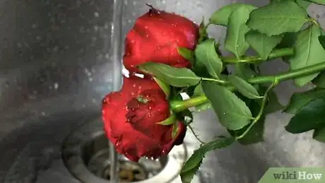 Imagen titulada Make Rose Petal Perfume Step 1
