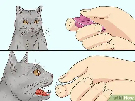 Imagen titulada Get a Cat to Stop Meowing Step 21