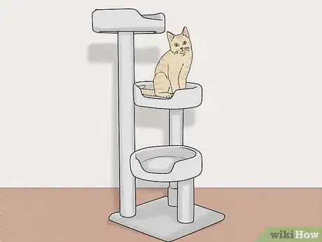 Imagen titulada Make a Cat and Dog Get Along Step 13