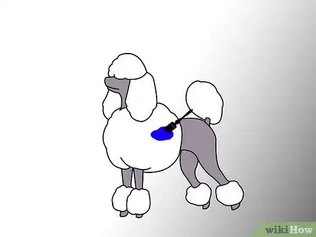 Imagen titulada Dye Your Pet Step 3