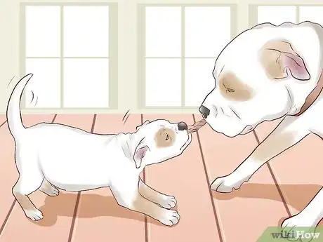 Imagen titulada Train a Puppy Not to Bite Step 7
