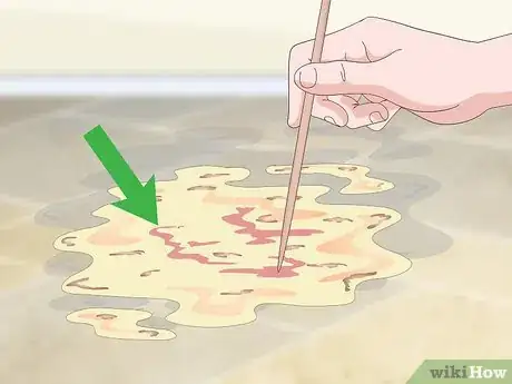 Imagen titulada Help a Vomiting Cat Step 9