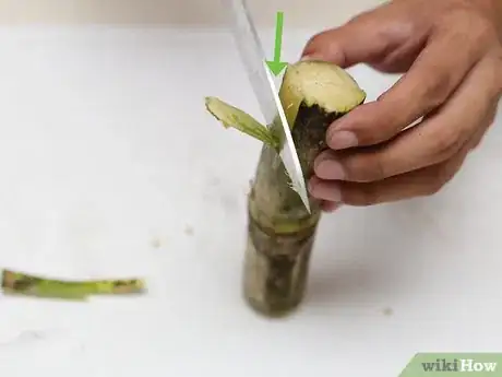 Imagen titulada Eat a Sugar Cane Step 6