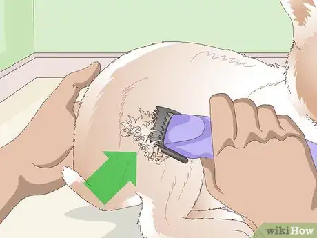 Imagen titulada Keep Your Rabbit's Fur Clean and Untangled Step 22
