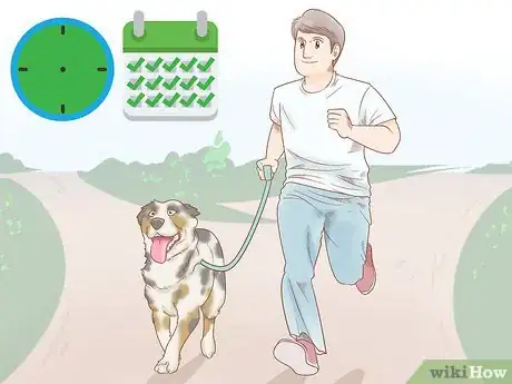 Imagen titulada Keep an Australian Shepherd Busy Step 1