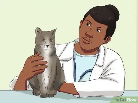 Imagen titulada Get Your Cat Out of the Malnutrition Stage Step 2