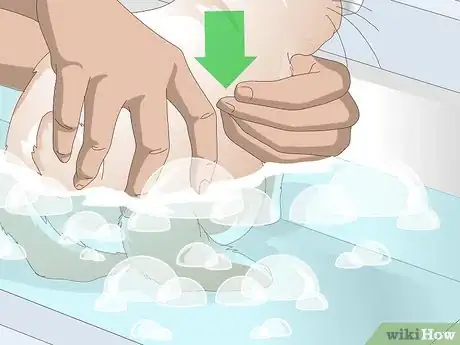Imagen titulada Keep Your Rabbit's Fur Clean and Untangled Step 11