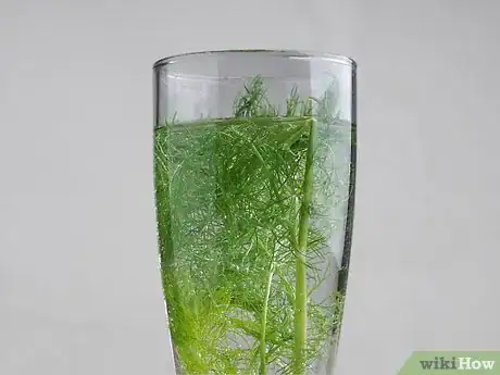 Imagen titulada Preserve Fennel Step 3