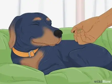 Imagen titulada Make Your Dog Stop Sleeping in Your Bed Step 8
