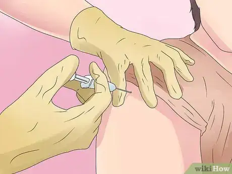 Imagen titulada Identify a Funnel Spider Step 10