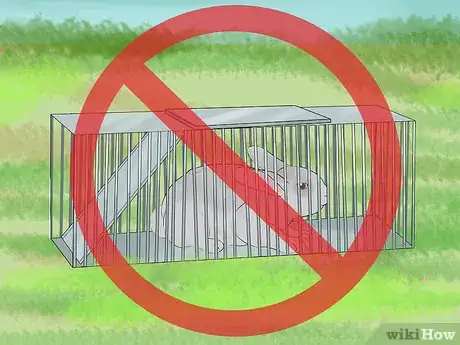 Imagen titulada Catch a Pet Rabbit Step 21