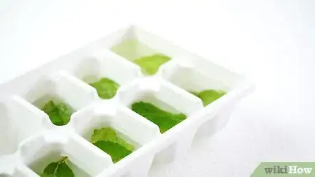 Imagen titulada Keep Mint Leaves Fresh Step 12