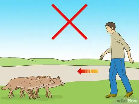 Imagen titulada Act when Near a Coyote Step 5