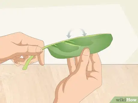 Imagen titulada Wash Spinach Step 4
