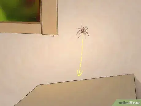 Imagen titulada Get Spiders Out of Your House Without Killing Them Step 3