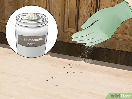 Imagen titulada Kill Ants in Your House Step 4