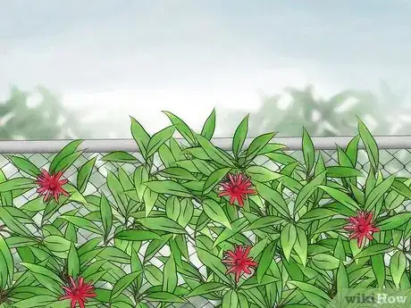 Imagen titulada Hide a Fence Step 3