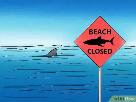 Imagen titulada Fish for Shark Step 14