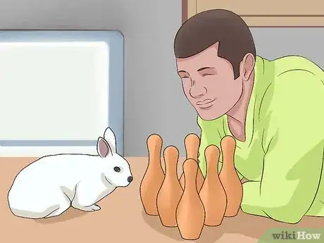 Imagen titulada Clean Your Rabbit's Ears Step 1