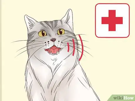 Imagen titulada Get a Cat to Stop Meowing Step 18