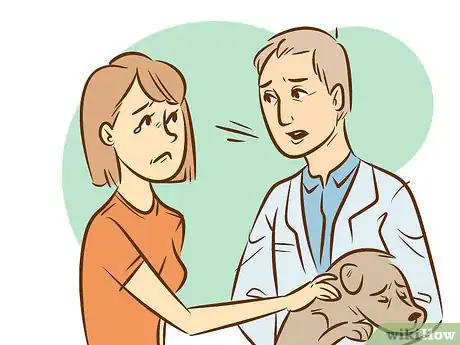 Imagen titulada Recognize a Dying Dog Step 14