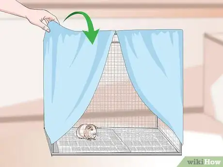 Imagen titulada Keep Guinea Pigs Warm Step 11