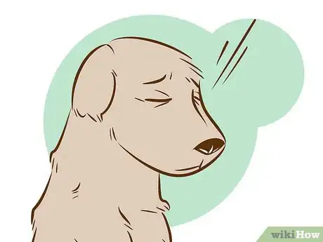 Imagen titulada Recognize a Dying Dog Step 10
