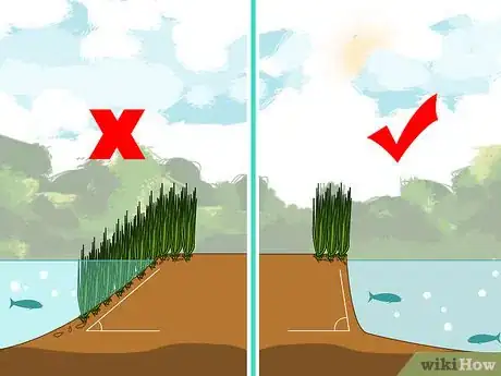 Imagen titulada Kill Lake Weeds Step 1