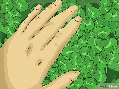 Imagen titulada Find a Four Leaf Clover Step 6