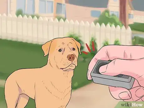 Imagen titulada Get Your Dog to Pee on Command Step 7