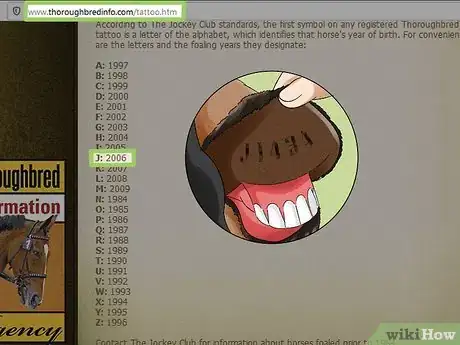 Imagen titulada Research a Horse's Bloodline Step 9