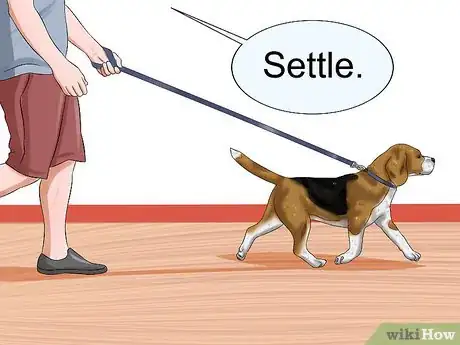 Imagen titulada Train Your Dog to Be Calm Step 4