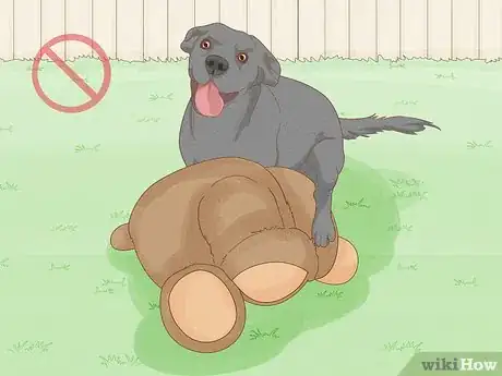 Imagen titulada Stop a Dog from Humping Step 8