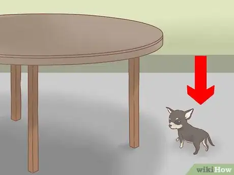 Imagen titulada Care for Your Chihuahua Puppy Step 17