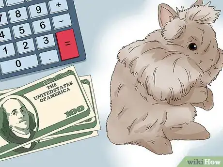 Imagen titulada Care for Lionhead Rabbits Step 2