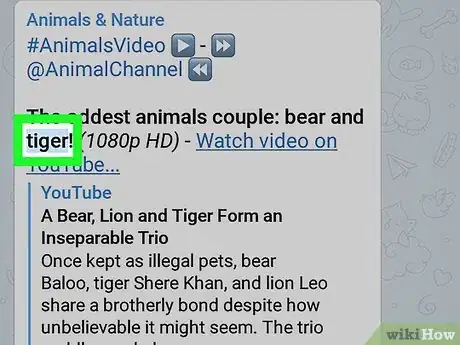 Imagen titulada Search Channel on Telegram on Android Step 6