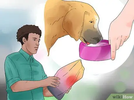 Imagen titulada Stop Dogs from Eating Dog Poop Step 3