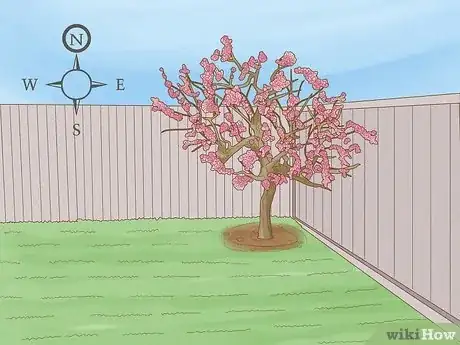 Imagen titulada Choose Plants for Good Feng Shui Step 1