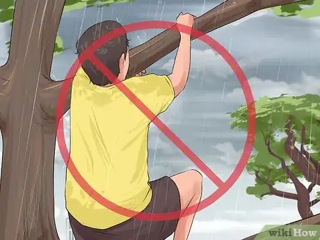 Imagen titulada Climb a Tree Step 4