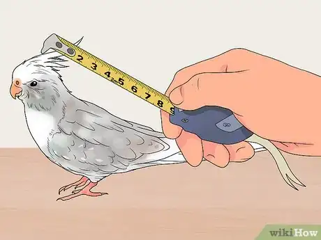 Imagen titulada Build an Aviary Step 1