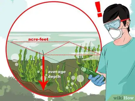 Imagen titulada Kill Lake Weeds Step 10