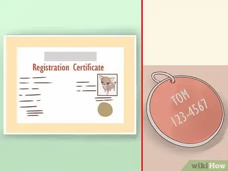 Imagen titulada Care for Your Chihuahua Puppy Step 14