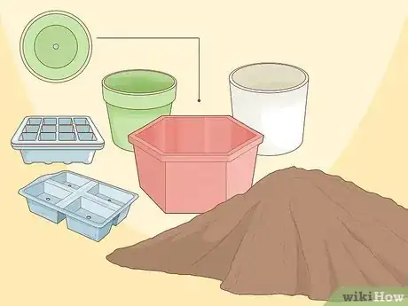 Imagen titulada Plant a Seed in a Pot Step 1